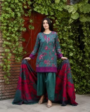 Zara Ali 3 Piece Unstitched Khaddar Suit – Winter Collection